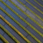 Stock image of a large-scale solar farm with photovoltaic panels in rows